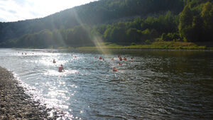 Ferienlager Elbsandstein 29.7.-4.8.18 Aktivreiseteam (7).jpg